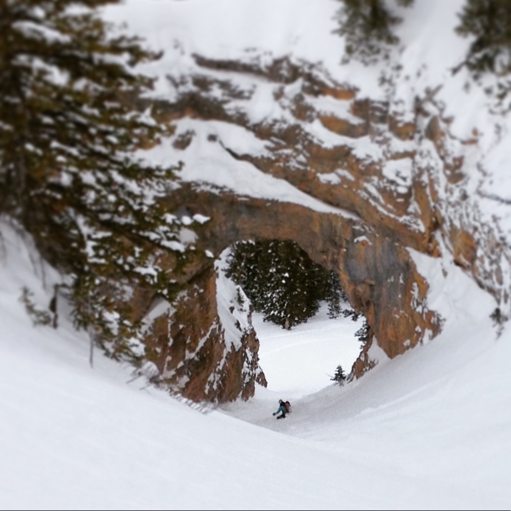 Meet your Posh Ambassador, K. 🙂🙃🙂